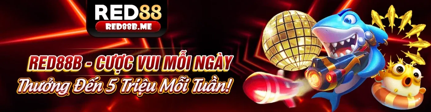 Hỗ trợ khách hàng ko66 bet chuyên nghiệp