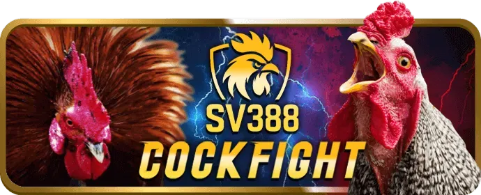 Hình ảnh tương lai và kế hoạch phát triển của ko66 bet