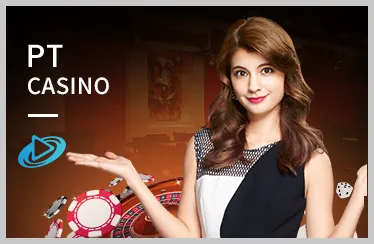 Đá gà Thomo tại ko66 bet